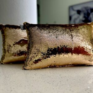 Aviva Stanoff accent Feather down pillow